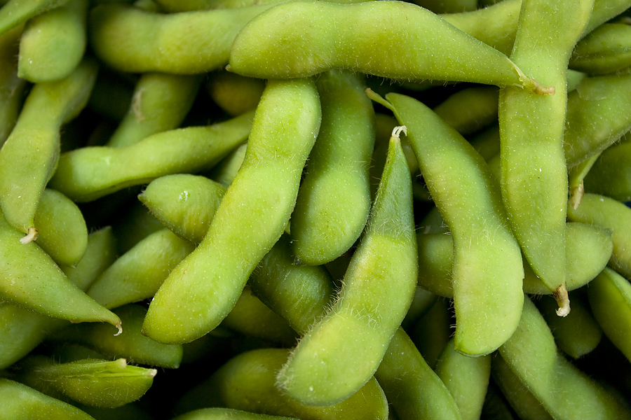 Bean Seeds, Edamame Soybean-Vegetable Seeds