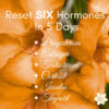 Robin's Hormone Reset Live May 2025