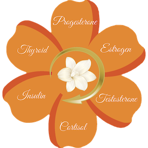 Diagram of a six-petaled flower with hormone names around each petal (thyroid, estrogen, progesterone, testosterone, cortisol, insulin) around a circular arrow and white center bloom, illustrating endocrine hormones.
