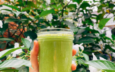 Go Green Shake — A Green Smoothie for Hormone Balance